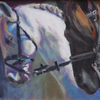 CAPS DE CAVALLS NEGRE I BLANC