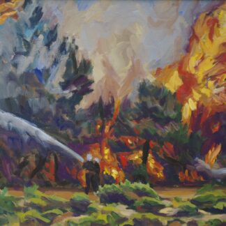 INCENDI FORESTAL