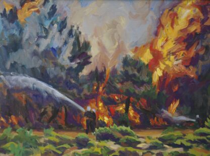 INCENDI FORESTAL