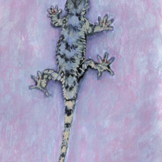 SALAMANDRA